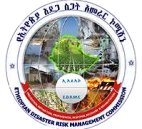 Disaster Recovery & Risk Management
